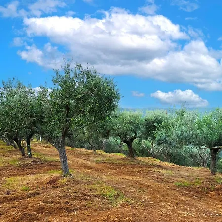 E Maneggio Poggio Leone Farm stay
