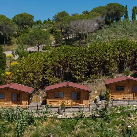 E Maneggio Poggio Leone مزرعة للإقامة *