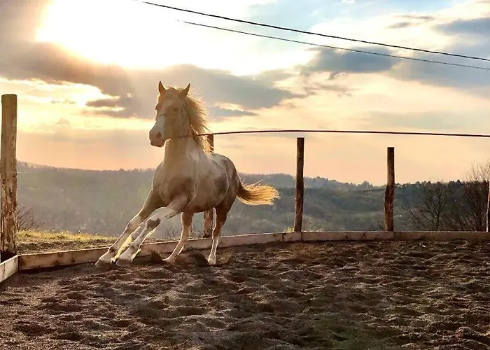 Gospodarstwo agroturystyczne E Maneggio Poggio Leone